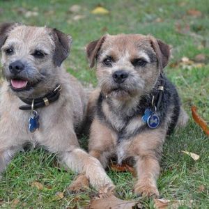 Meet your Posher, Sammie